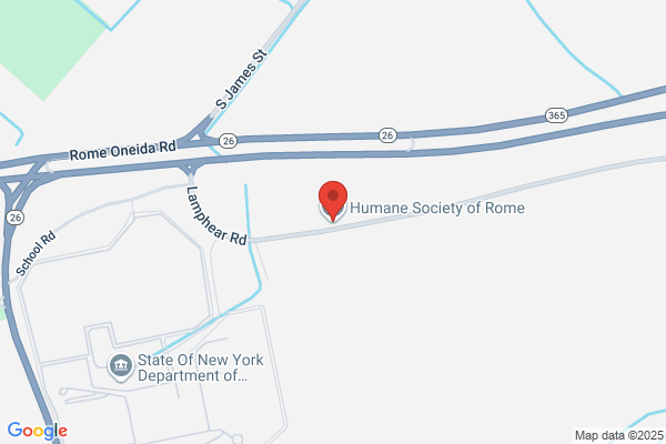 Humane Society of Rome Inc