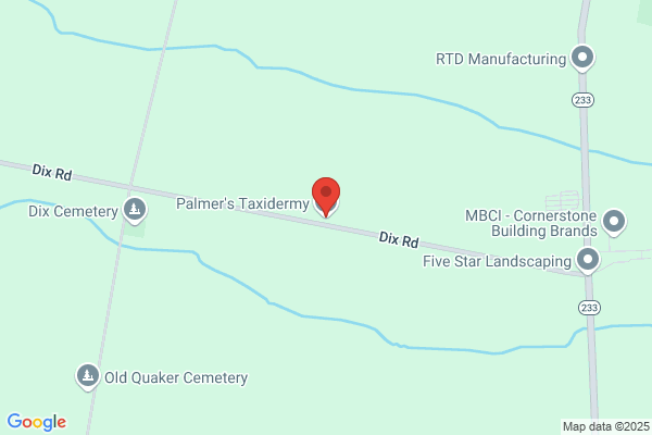 Palmer's Taxidermy