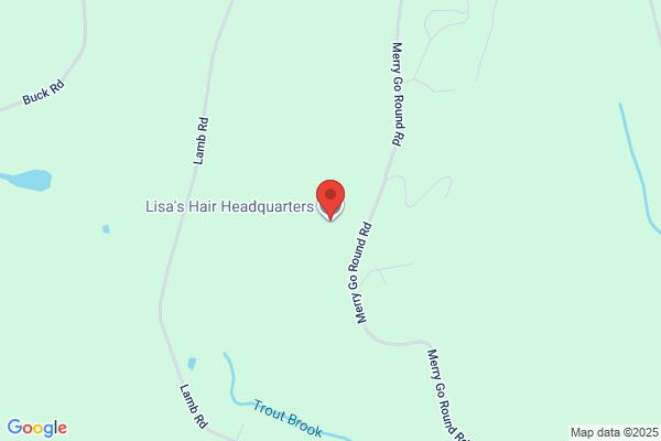 Lesa's Northeast Hair Care