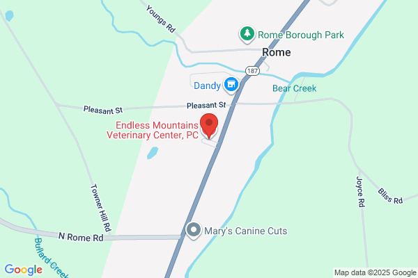 Rome Veterinary Center PC, Small Animal Clinic