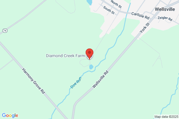 Diamond Farms