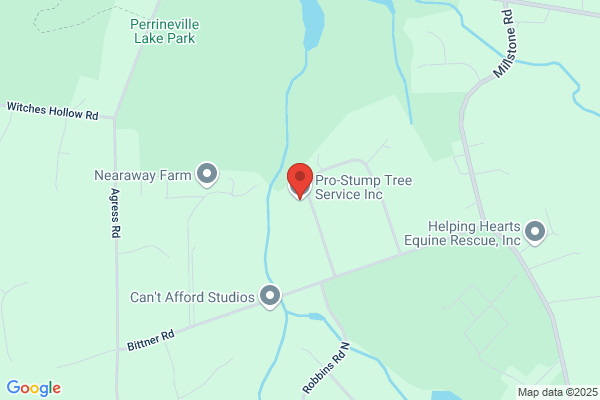 Pro-Stump Tree Service Inc.
