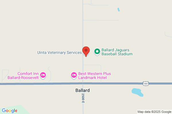 Basin Veterinary Clinic