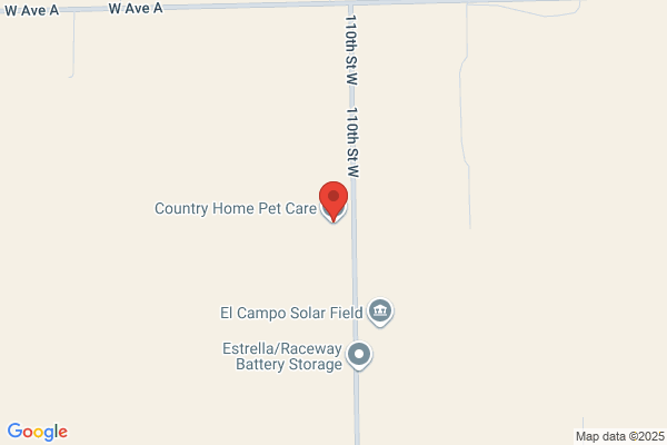 Country Home Pet Care