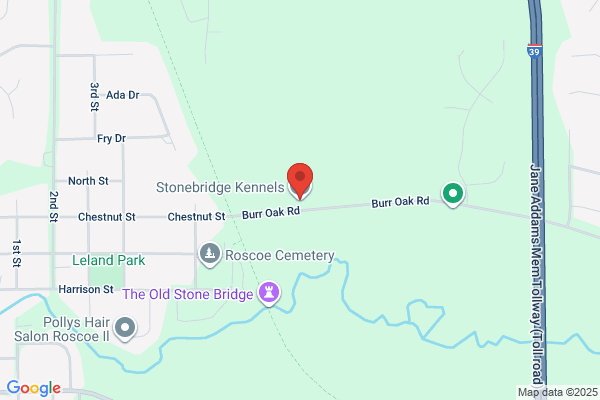 Stonebridge  Kennels