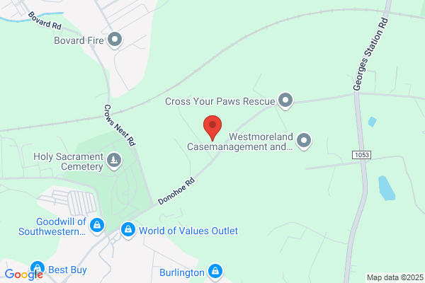 Westmoreland Intermediate Unit