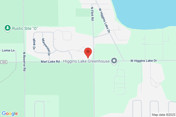 Re Max of Higgins Lake