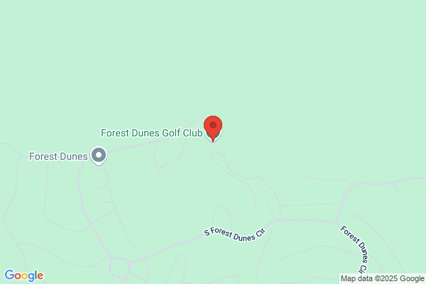 Forest Dunes