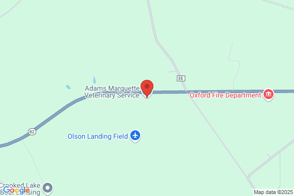 Adams Veterinarian Service