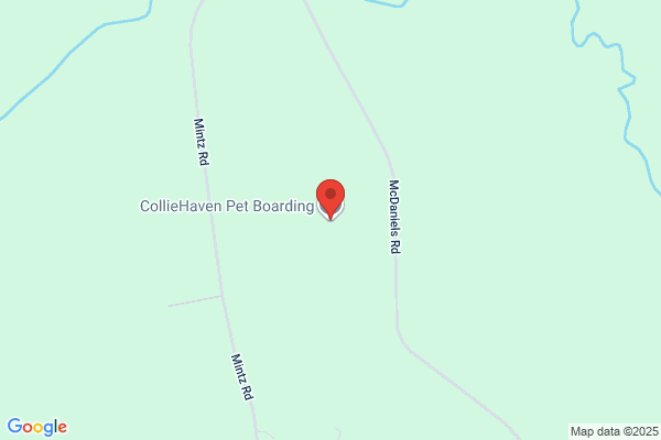 Colliehaven Kennels