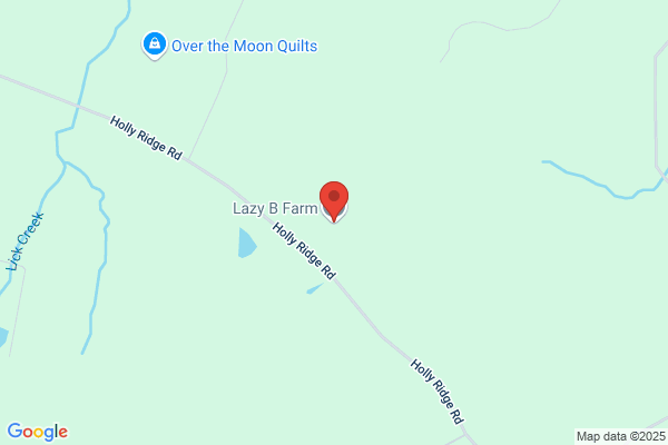 Lazy B Ranch