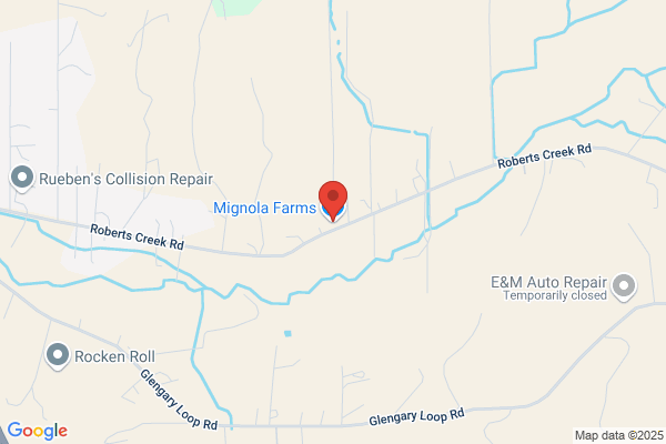Mignola Farms Nursery Llp