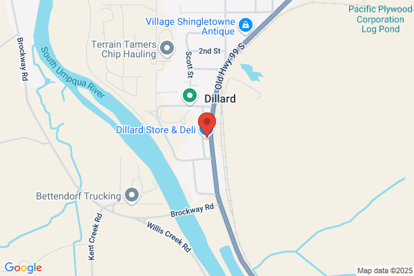Dillard Store
