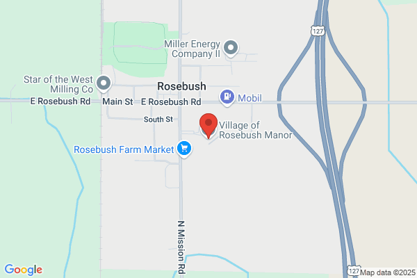 Rosebush Manor Village of