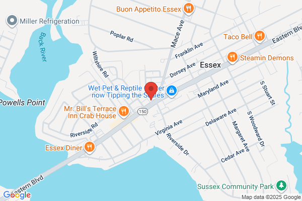 Bayside Auto Body
