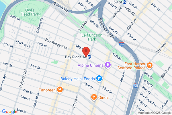 Bay Ridge Limousine Svce