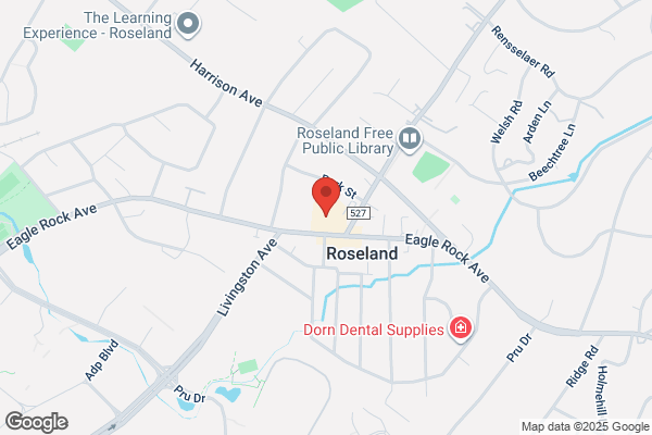 Electrolysis Associates