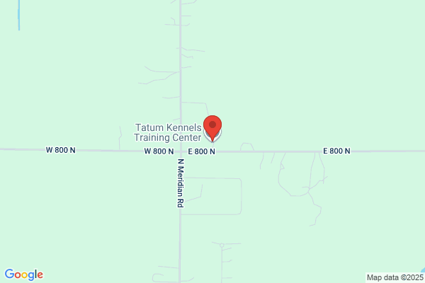 Tatum Kennels & Training