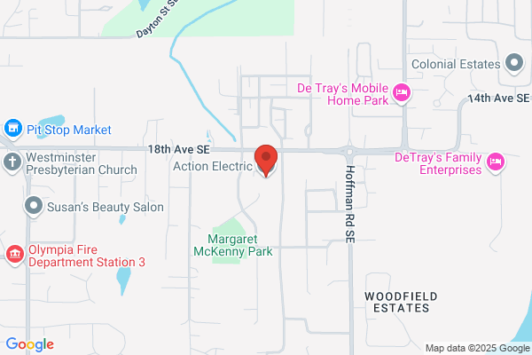 ACTION ELECTRIC INC