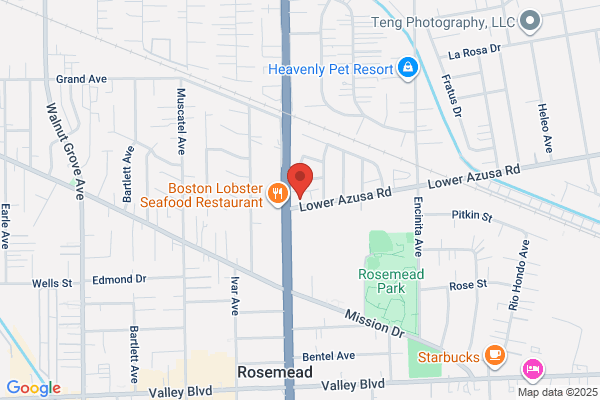Seidner's Collision Centers