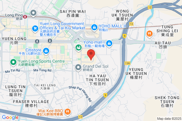 Ho Shun Lee Company