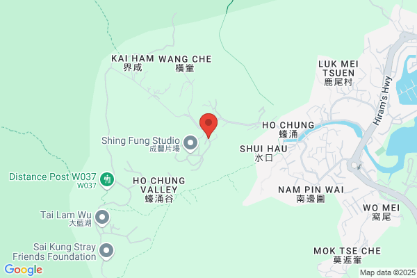 Shing Fung USA Inc
