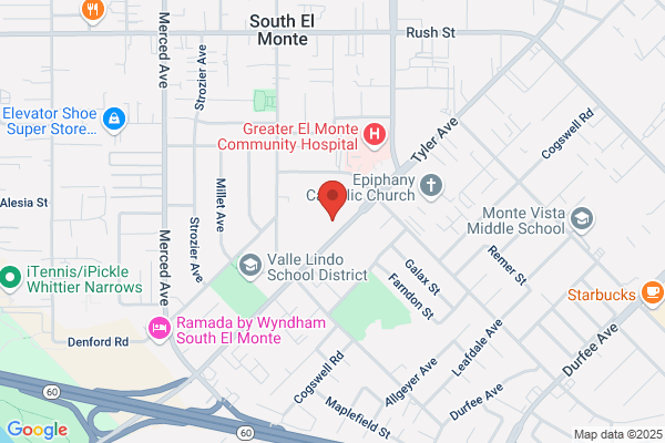 Orchid Plaza Llc