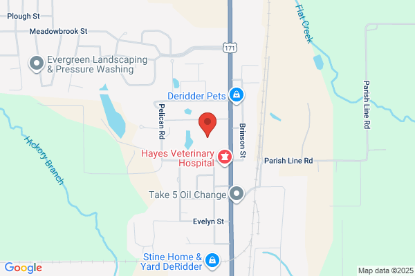 Americas Best Value Inn DeRidder