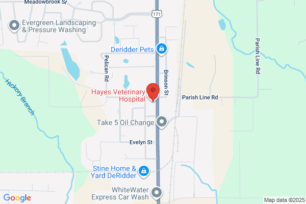Hoerner Veterinary Hospital