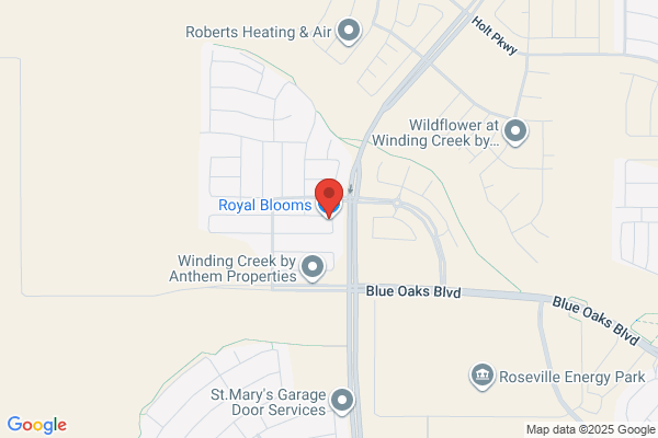 Roseville Florist