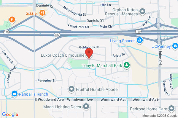 Luxor Limousine Services