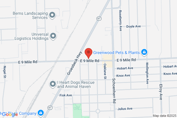 Nine Mile Collision Inc