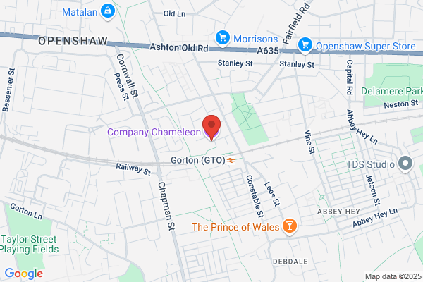 Chameleon Enterprises