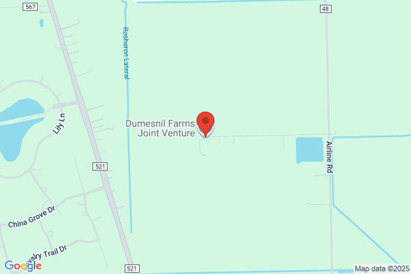 Dumesnil Farms Joint Venture