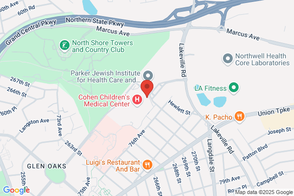 Long Island Jewish Medical Center, Long Island Jewish Hospital, General Information