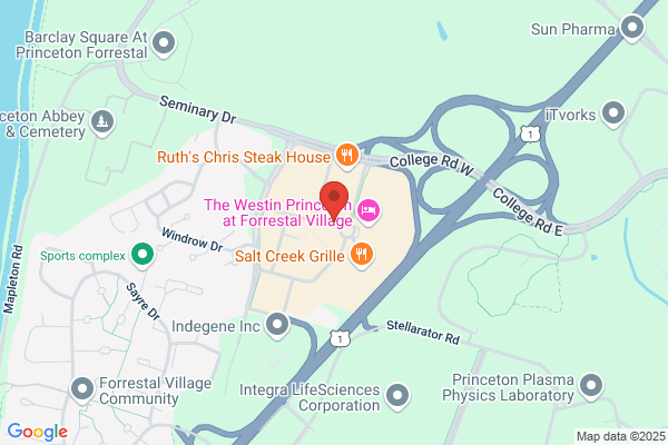 Princeton Search Group