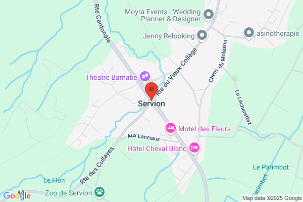 Servion