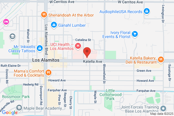 Asch Lester MD Inc