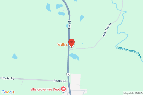 Wallys Pub & Eatery Inc