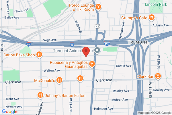 Eugenio Shoe Repair & Orthopedic Shop