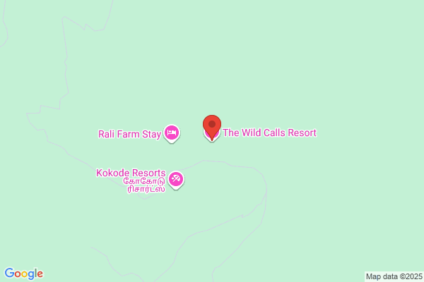 Call of the Wild