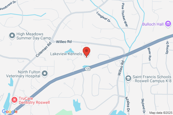 Lakeview Kennels