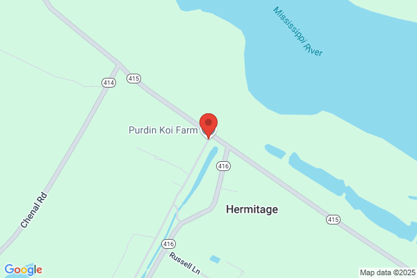 Purdin Koi Farm