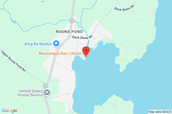 Muscongus Bay Lobster