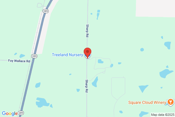 Treeland Nursery