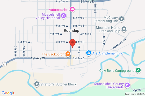 Electric Service Shop Inc-RadioShack