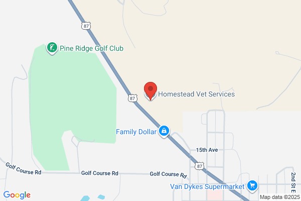 Trailhead Pet Services