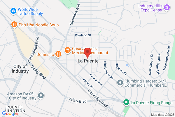 Louie May C DDS