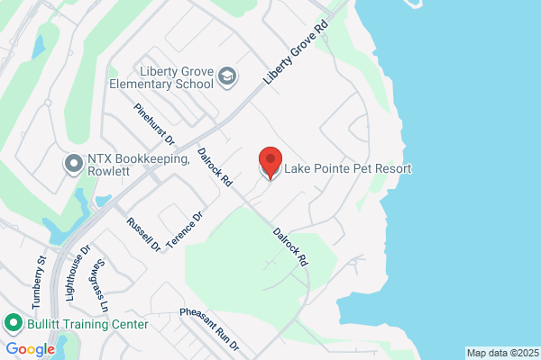 Lake Pointe Pet Resort