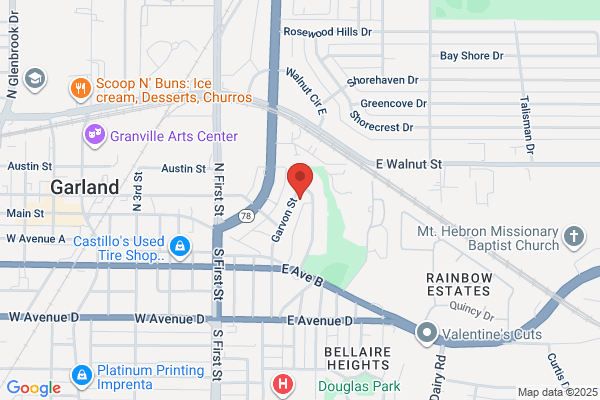 Garland Pro Painting